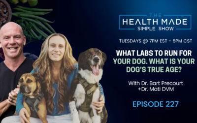 What labs to run for your dog. What is your dog’s true age? Do dogs have thyroid issues? Featuring special guest Dr. Mati DVM | Ep. 227